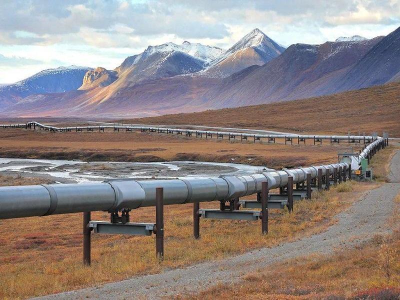 �������͹���