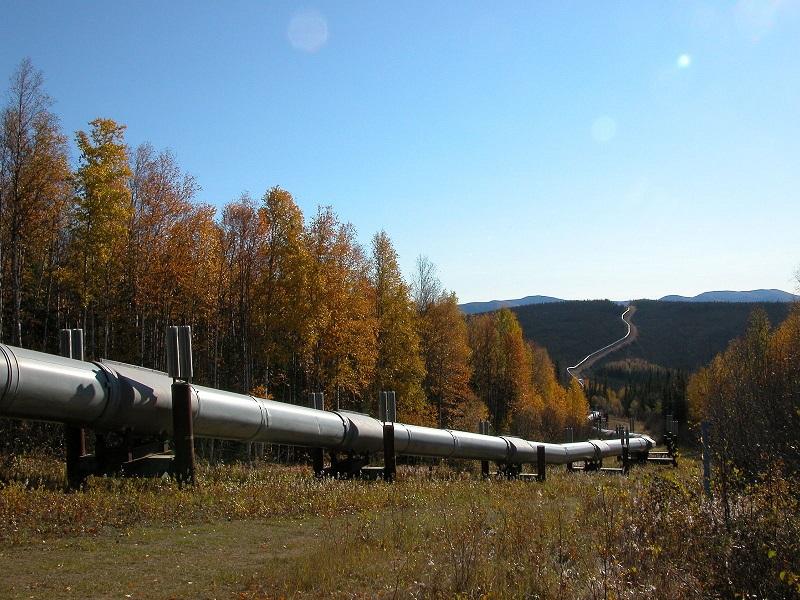 �������͹���